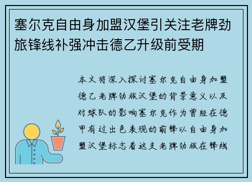 塞尔克自由身加盟汉堡引关注老牌劲旅锋线补强冲击德乙升级前受期 塞尔克自由身加盟汉堡引关注老牌劲旅锋线补强冲击德乙升级前受期